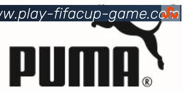 FIFA世界杯赛事官方网站合作伙伴